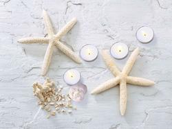 LED Lighted Starfish  Seashell and Tea Light Candles Canvas Wall Art 11.75"" x 15.75""