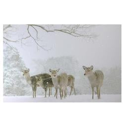 Large Fiber Optic Lighted Winter Woods with Deer Canvas Wall Art 23.5"" x 15.5""